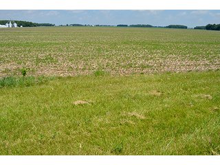 Property photo 98 - LAND AUCTION - 700+/- ACRES OFFERED IN 16 TRACTS IN ALLEN COUNTY, INDIANA